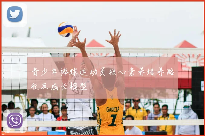 青少年棒球运动员核心素养培养路径及成长模型