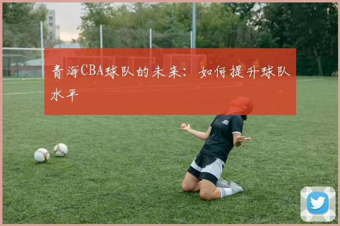 青海CBA球队的未来：如何提升球队水平